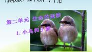 2020-2021学年6 小鸟和小猫教学ppt课件