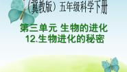 冀教版五年级下册第三单元 生物的进化12 生物进化的秘密教学ppt课件