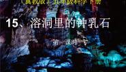 冀教版五年级下册15 溶洞里的钟乳石教学课件ppt