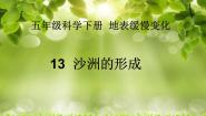 小学科学冀教版五年级下册14 沙洲的形成教学ppt课件