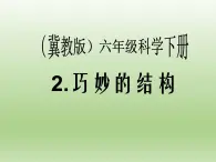 2.《巧妙的结构》第1课时公开课教学PPT课件 冀人版科学六下