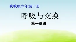 《呼吸与交换》第1课时公开课教学PPT课件 冀人版科学六下