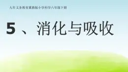 《消化与吸收》公开课教学PPT课件 冀人版科学六下