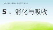 小学科学冀教版六年级下册5 消化与吸收教学课件ppt
