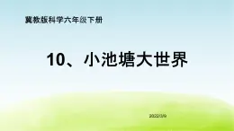 10、《小池塘大世界》（第1课时）公开课教学PPT课件 冀人版科学六下