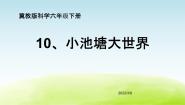 科学10 小池塘大世界教学ppt课件