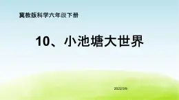 10、《小池塘大世界》（第2课时）公开课教学PPT课件 冀人版科学六下