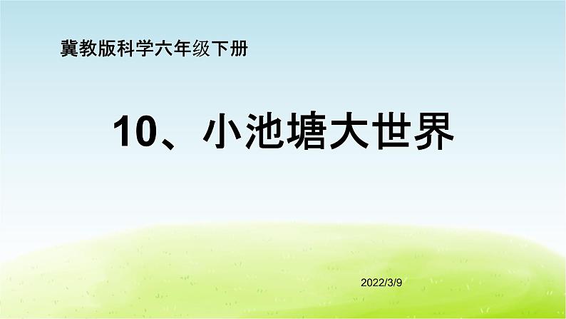 10、《小池塘大世界》(第2课时)公开课教学PPT课件 冀人版科学六下第1页