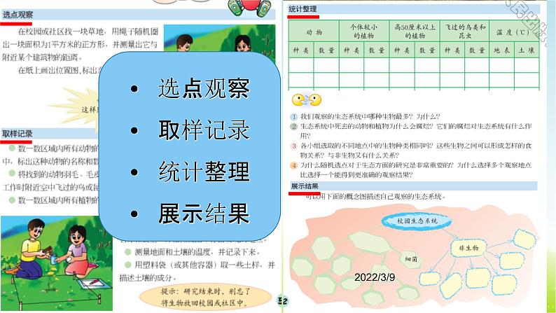 10、《小池塘大世界》(第2课时)公开课教学PPT课件 冀人版科学六下第6页