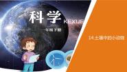 小学科学青岛版 (六三制2017)一年级下册14 土壤中的小动物教学ppt课件