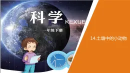 小学科学青岛版六三制一年级下册第四单元第15课《土壤中的小动物》 教学课件3.pptx.ppt