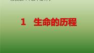小学科学湘教版六年级下册1 生命的历程教学ppt课件