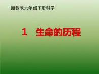 小学科学湘教版六年级下册第一单元_1 生命的历程_教学课件