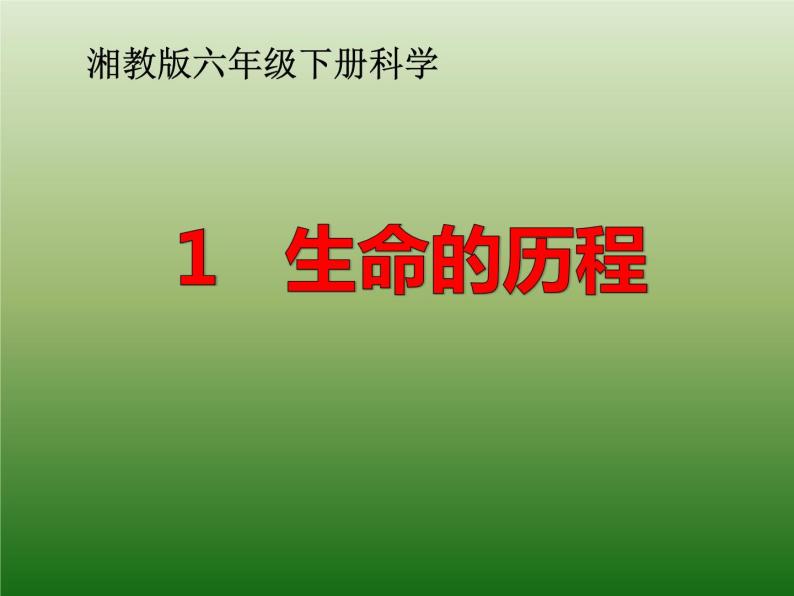 小学科学湘教版六年级下册第一单元_1 生命的历程_教学课件01