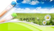 小学科学湘教版六年级下册1 生命的历程教学ppt课件