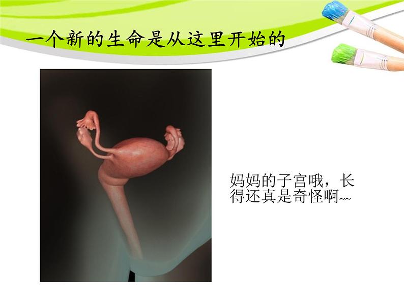 小学科学湘教版六年级下册第一单元_1 生命的历程_教学课件第2页