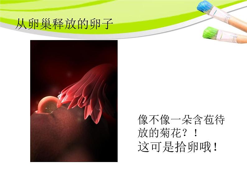 小学科学湘教版六年级下册第一单元_1 生命的历程_教学课件第3页
