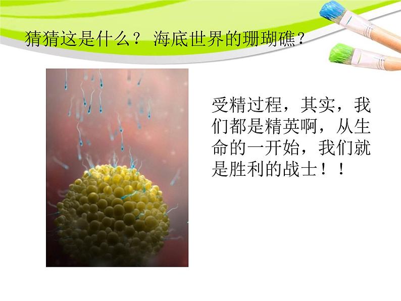 小学科学湘教版六年级下册第一单元_1 生命的历程_教学课件第4页