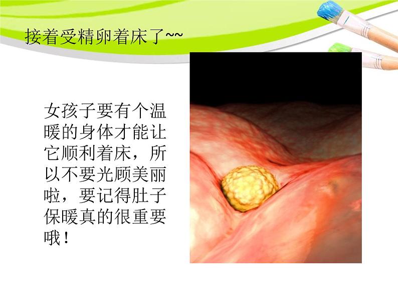 小学科学湘教版六年级下册第一单元_1 生命的历程_教学课件第5页