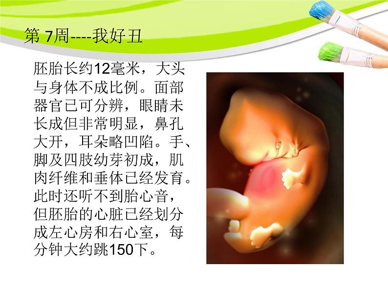 小学科学湘教版六年级下册第一单元_1 生命的历程_教学课件第8页