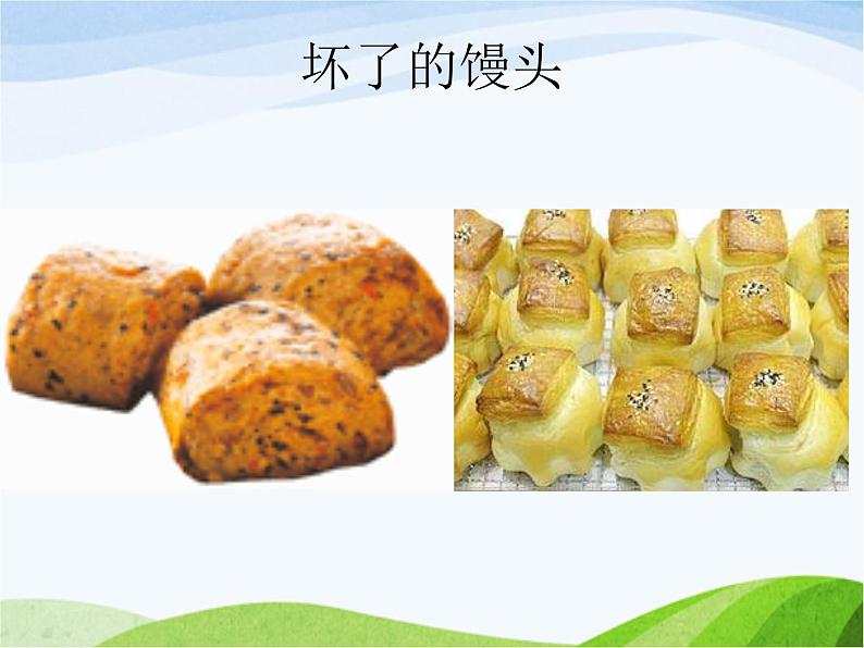青岛小学科学六上《3、馒头发霉了》PPT课件-第5页