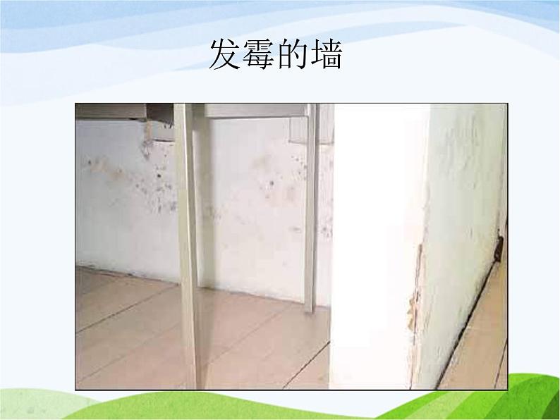 青岛小学科学六上《3、馒头发霉了》PPT课件-第7页