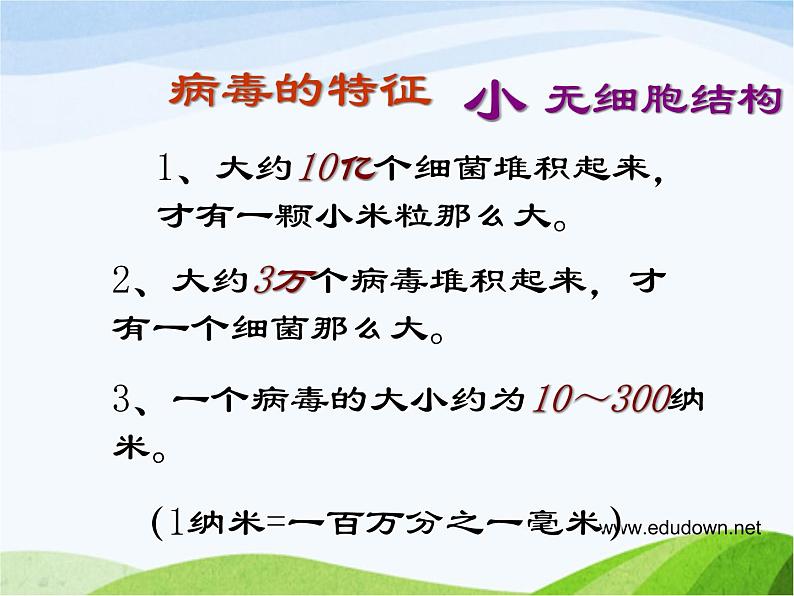 青岛小学科学六上《1、病毒》PPT课件-第8页