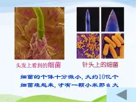 青岛小学科学六上《2、细菌》PPT课件-(4)