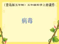 青岛小学科学六上《1、病毒》PPT课件-(4)