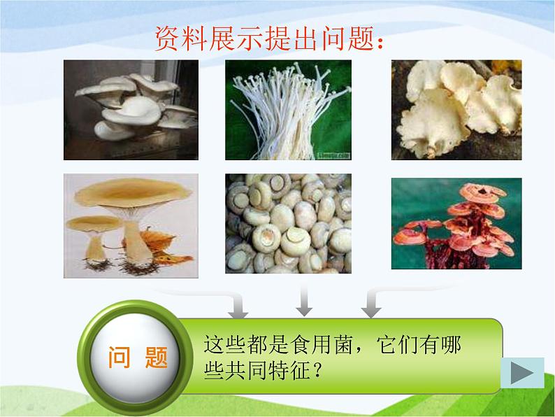 青岛小学科学六上《4、食用菌》PPT课件-(2)04