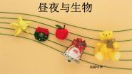 2020-2021学年15、昼夜与生物教案配套ppt课件