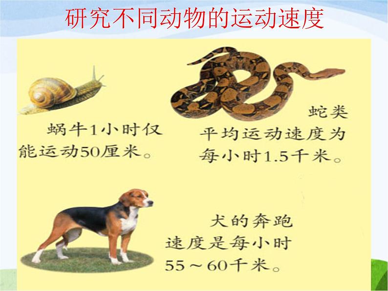 青岛小学科学六上《13、动物的运动》PPT课件-(3)08