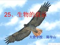 小学科学青岛版 (六三制)六年级上册25、生物的启示教课ppt课件