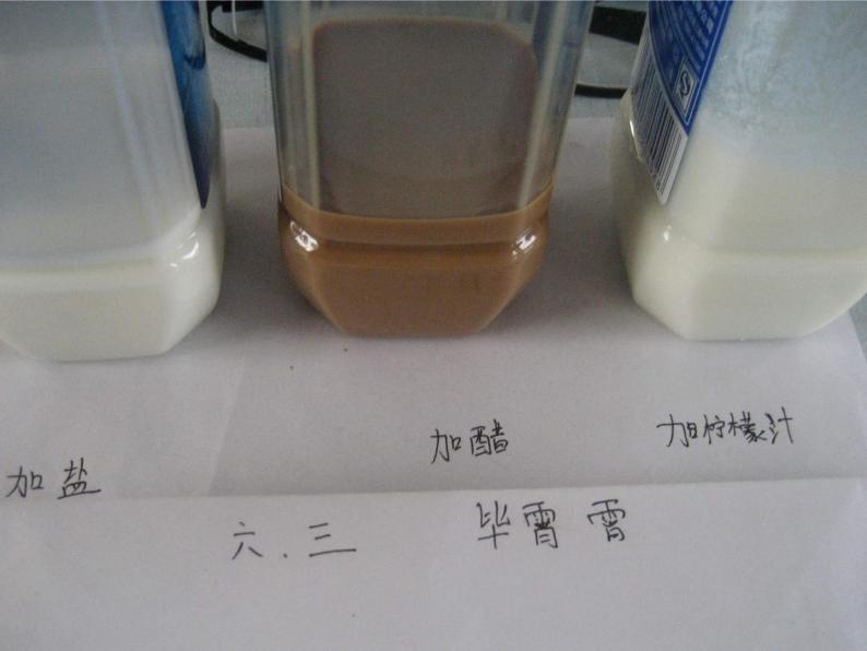 青岛小学科学六上《8、牛奶的变化》PPT课件-(3)07