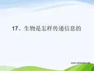 青岛小学科学六下《17、生物是怎样传递信息的》PPT课件-(6)