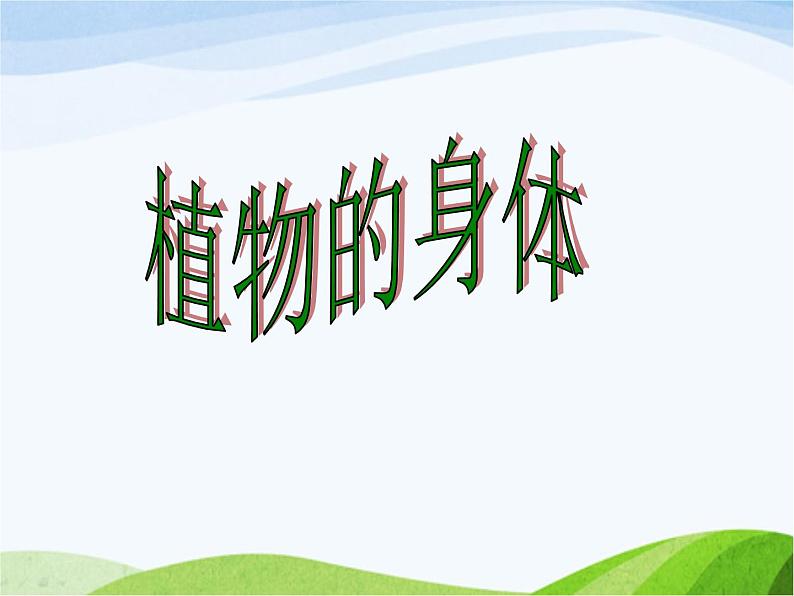 青岛小学科学四上《1-植物的身体》PPT课件-(4)第2页