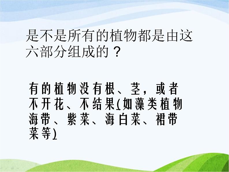 青岛小学科学四上《1-植物的身体》PPT课件-(4)第5页