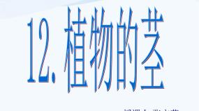 2021学年第一单元 植物的生活4 植物的茎教学课件ppt