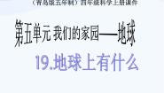 小学科学青岛版 (五四制)四年级上册19 地球上有什么多媒体教学课件ppt