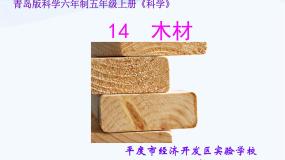 青岛版 (五四制)四年级上册8 木材说课课件ppt