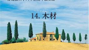 小学科学青岛版 (五四制)四年级上册8 木材备课ppt课件