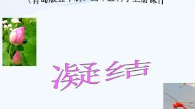 2021学年15 凝结图片ppt课件