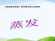 青岛小学科学四上《13-蒸发》PPT课件-(1)