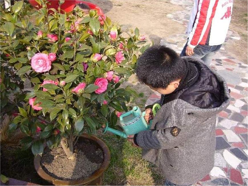 青島小學(xué)科學(xué)四上《4-植物的莖》PPT課件-(2)第2頁(yè)