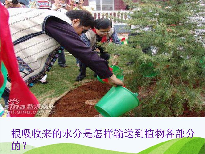青島小學(xué)科學(xué)四上《4-植物的莖》PPT課件-(2)第3頁(yè)