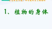 青岛版 (五四制)四年级上册1 植物的身体图片课件ppt