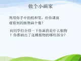 青岛小学科学四上《1-植物的身体》PPT课件-(1)