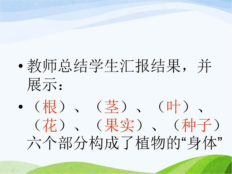 青岛小学科学四上《1-植物的身体》PPT课件-(1)05