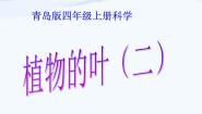 小学科学青岛版 (五四制)四年级上册3 植物的叶教课课件ppt