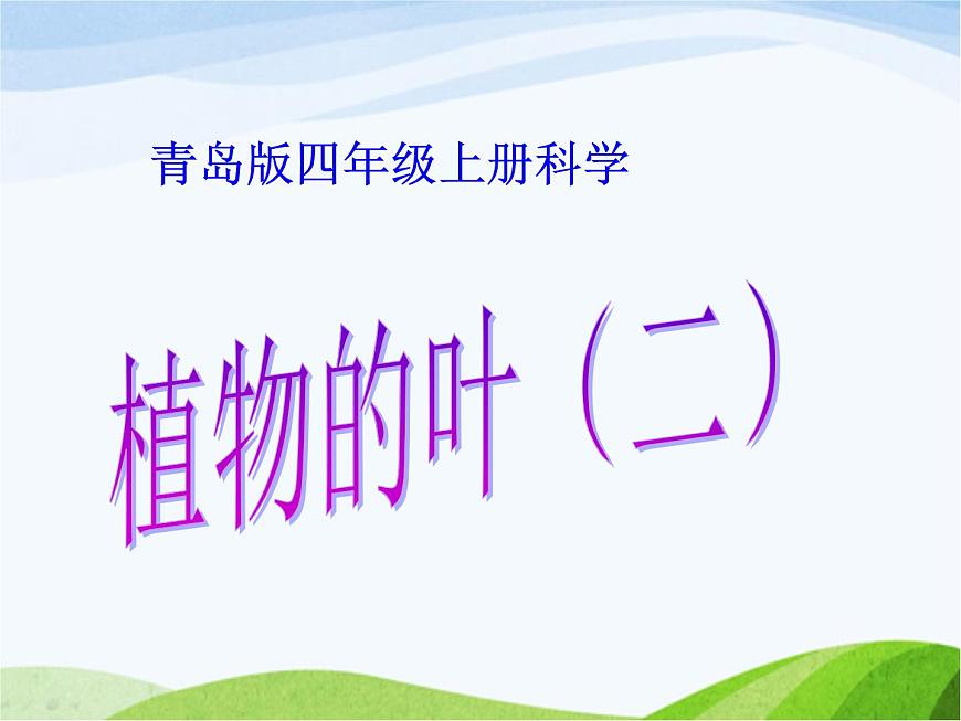 青島小學(xué)科學(xué)四上《3-植物的葉》PPT課件-(7)第1頁